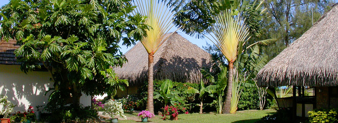 Jardin du Fare Aute Beach